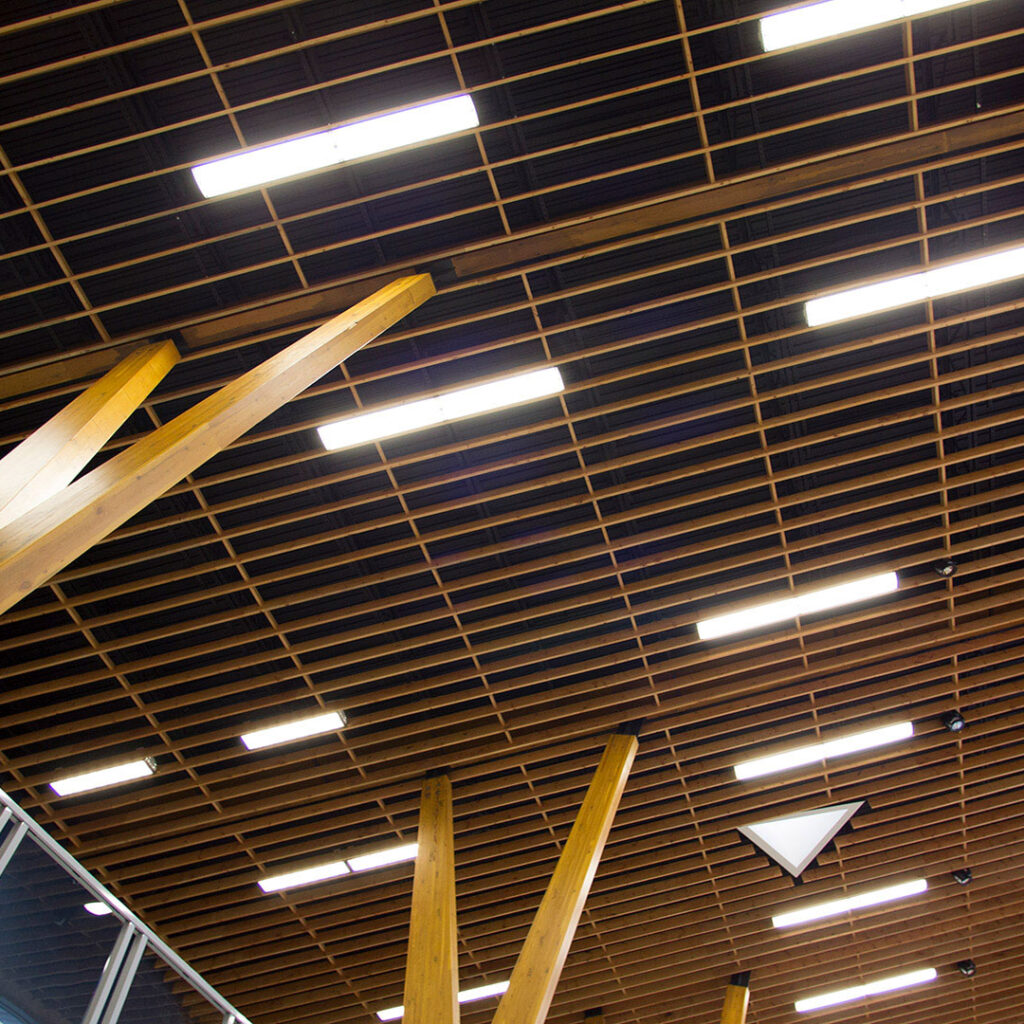 Alberni District Secondary School Ceiling Lighting